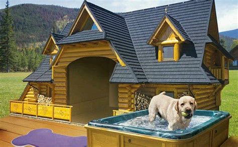 30 Awesome Dog House DIY Ideas Indoor Outdoor Design PHOTOS