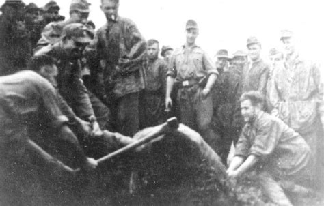 80 best Jasenovac images on Pinterest | Croatia, World war two and Wwii