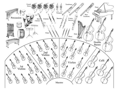 18 best images about Musical Instruments: Orchestra on Pinterest | Horns, Flute and Violin parts