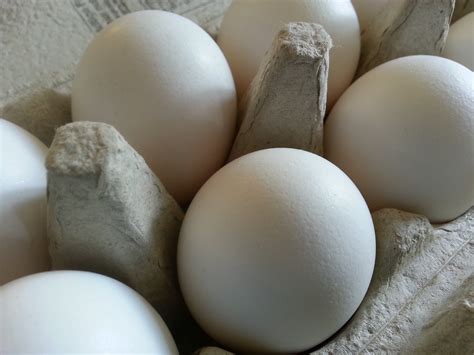 Dozen Eggs Free Stock Photo - Public Domain Pictures