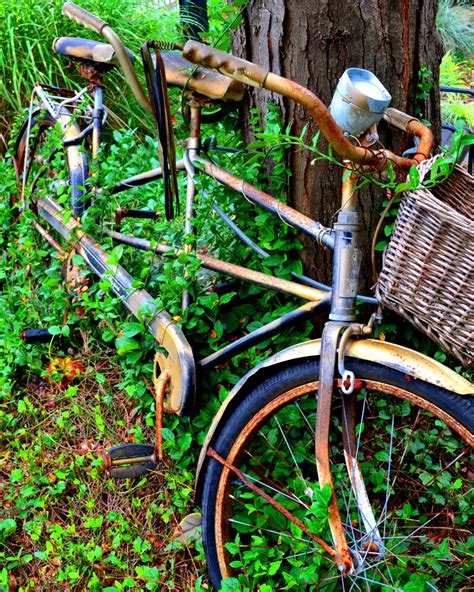 Old Bicycle Rusty Vintage Color Print Photograph