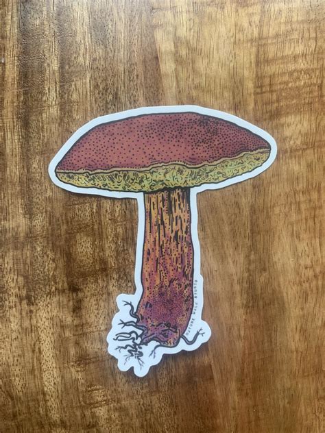 Painted Bolete Mushroom Decal — NATURE WALK