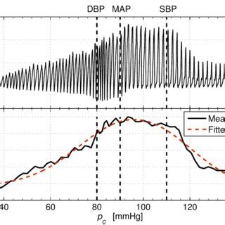 5: Examples of the measured (a) oscillometric waveform OMW and (b)... | Download Scientific Diagram