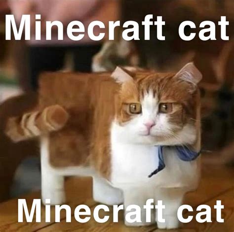 15++ Cat Memes Minecraft - Factory Memes