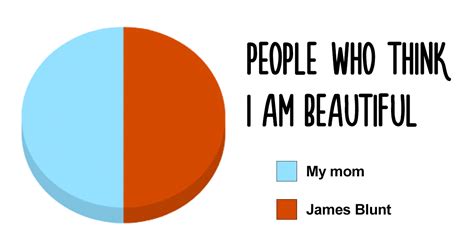 38 Hilarious Pie Charts That Are Absolutely True | Bored Panda