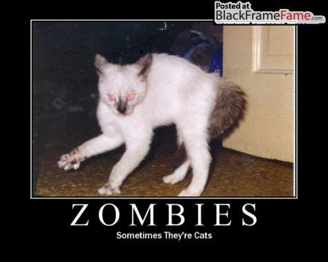 Image result for zombie memes funny | Zombie humor, Zombie cat, Cats