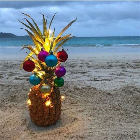 Pin by Barby on CHRISTMAS | Pineapple christmas, Hawaiian christmas ...