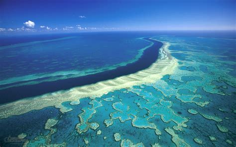 The Great Barrier Reef | TravelBlog