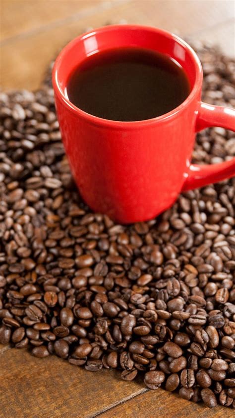 Lifestyle Coffee beans, coffee beans, HD phone wallpaper | Peakpx