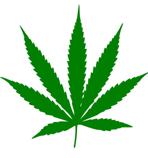 File:Cannabis leaf.svg - Wikimedia Commons