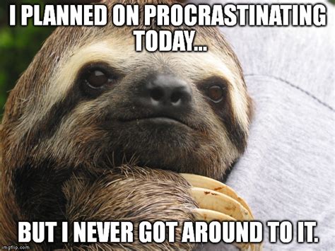 Motivational Sloth - Imgflip