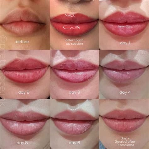Lip Blush Healing Process - Day by Day Timeline and Stages Tattoo Healing Stages, Tattoo Healing ...