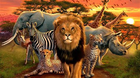 African Animals Wallpapers - Top Free African Animals Backgrounds - WallpaperAccess