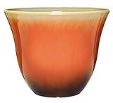 Top 12 Cheap Ceramic Flower Pots for Home Decor