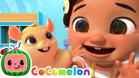 Jellybean Song! | CoComelon Animal Time | Animal Nursery Rhymes - YouTube