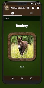 Animal Sounds - Apps on Google Play