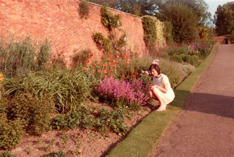 Share your memories of Delapré Abbey’s gardens for a new exhibition ...