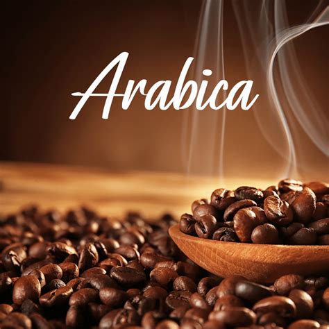 Best Arabica Coffee Beans - Top Products & Guides