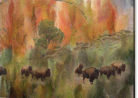 Bison Herd Watching Fine Art Print – Colorado Nature Landscape Art ...