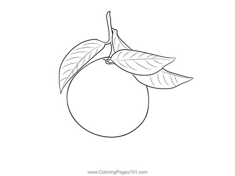 Mandarin Orange 1 Coloring Page for Kids - Free Mandarin Orange Printable Coloring Pages Online ...