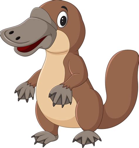 Cartoon platypus isolated on white background 8734705 Vector Art at Vecteezy