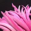 Bubblegum Pink Rooster Feathers Long - Delicia Feathers