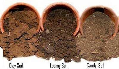 Garden Soil Types, clay soil, loamy soil, sandy soil, chalky soil ...