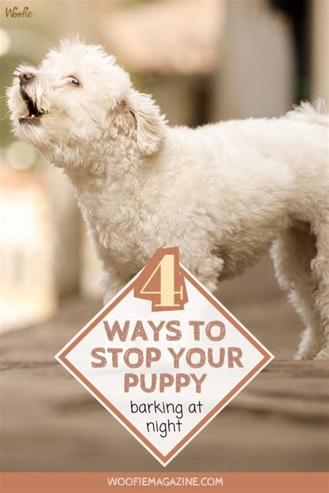 How to Stop Puppy Barking at Night - Woofie Magazine