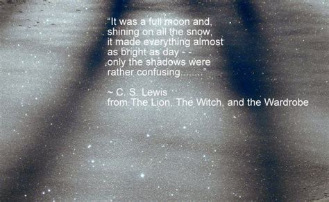 The Lion The Witch And Wardrobe Book Quotes Quotes. QuotesGram