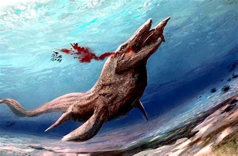 Prehistoric Marine Predators – "OCEAN TREASURES" Memorial Library