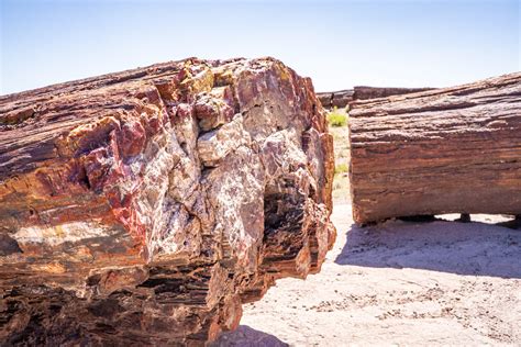 What to do in Petrified Forest National Park with Kids — Big Brave Nomad