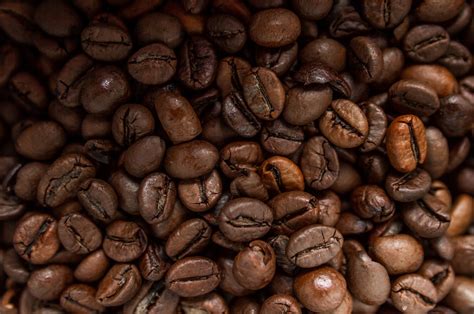 Roasted Coffee Beans Free Stock Photo - Public Domain Pictures