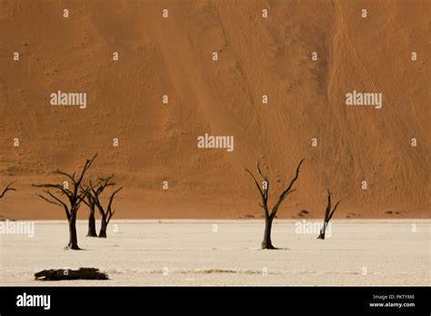 sossusvlei dunes in namibia Stock Photo - Alamy