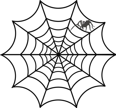 Spider web Drawing - spider png download - 2400*2234 - Free Transparent ...