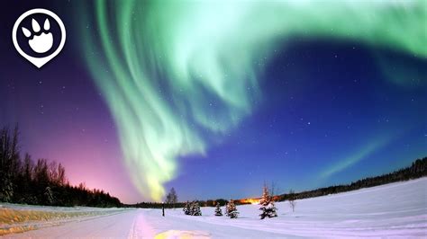 Southern Lights (Aurora Australis): When & Where To Catch It? - YouTube