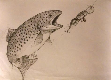 Brown trout. Pencil illustration. | Fly fishing art, Fish drawings ...