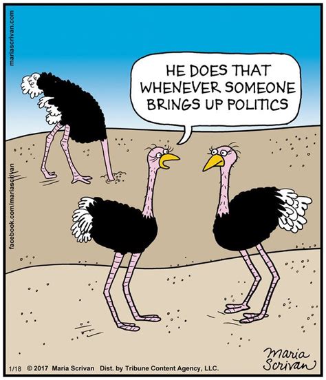 Image result for ostrich humor cartoons funny | Funny cartoons, Humor, Funny