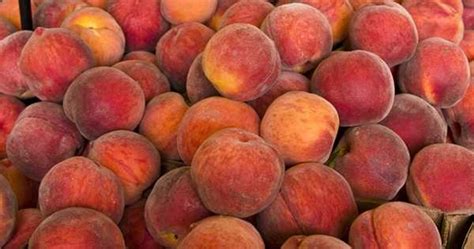 Canned Food News: Surprising Facts About Peaches - Products News - News ...