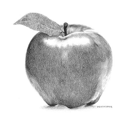 drawing pencil - Buscar con Google Pencil Art Drawings, Realistic ...