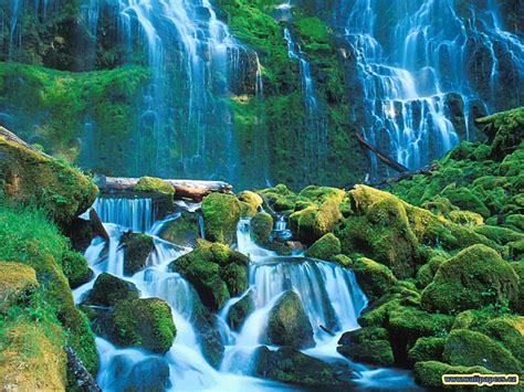 Animals Zoo Park: Waterfalls Wallpapers, Free Waterfall Wallpaper Desktop