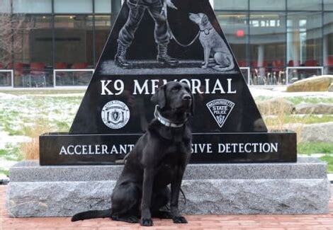 k9-memorial-featured - Tribute in Stone