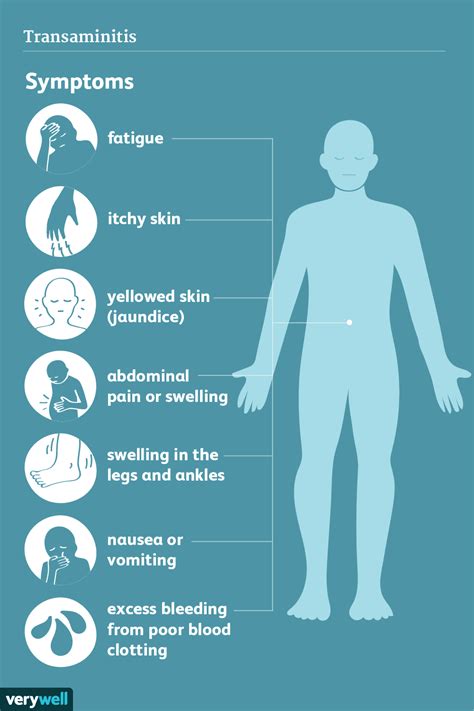 Transaminites : Symptômes, causes, diagnostic et traitement