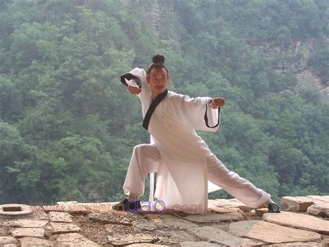 WUDANG DAO - Wudang Internal Taichi and Kungfu - At one with the Dao | Kung fu, Tai chi