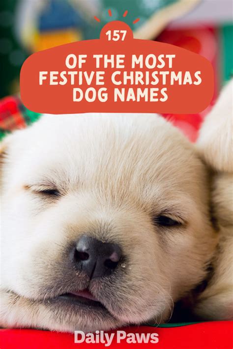 225 of the most festive christmas dog names – Artofit