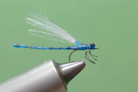 1000+ images about DAMSELFLY ADULT PATTERNS on Pinterest | Parachutes ...