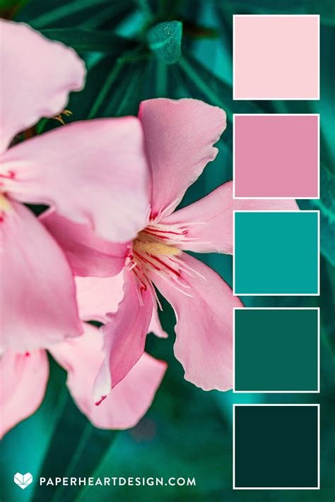 What Colors Go Well With Pink Flowers - Printable Templates Protal