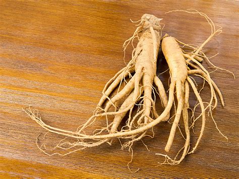 Panax Ginseng & Your Brain | Cognitive Vitality | Alzheimer's Drug Discovery Foundation