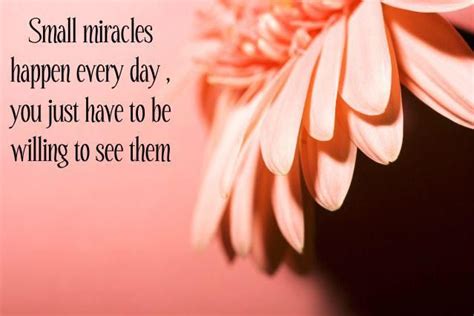 Small miracles happen everyday, you just have to be willing to see them. ♥ LOOK for your ...