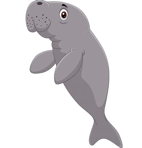 Premium Vector | Cute manatee cartoon on white background