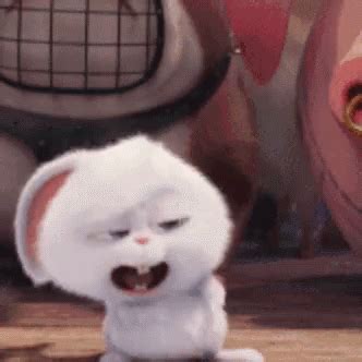 Laughing Rabbit GIF - Laughing Rabbit - Discover & Share GIFs